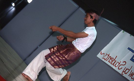 img230.jpg